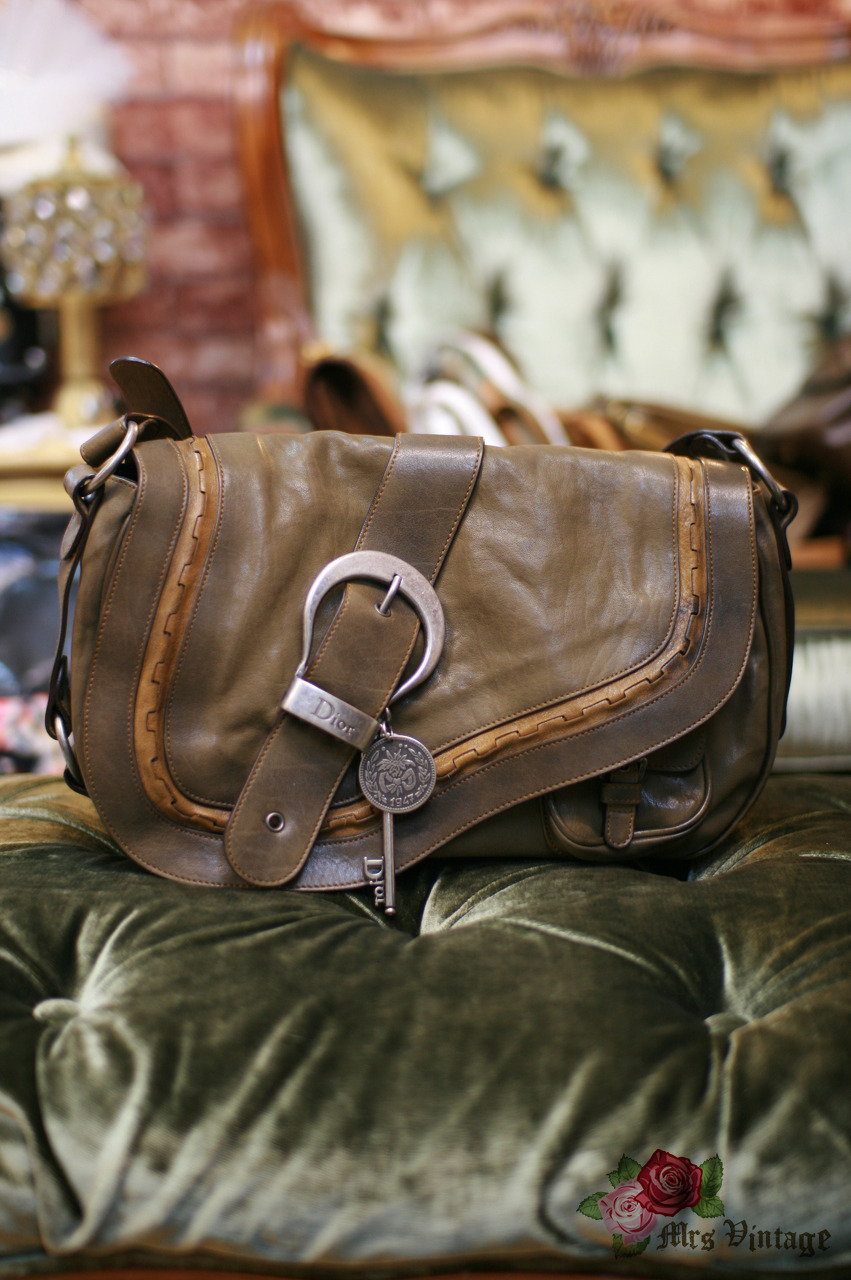 gaucho saddle bag dior