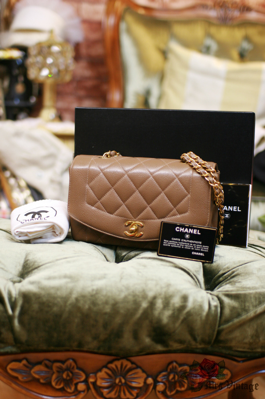 chanel brown leather bag